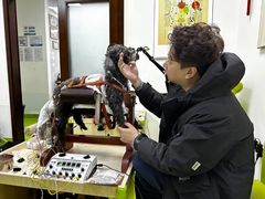-美联众合动物医院·24h转诊中心