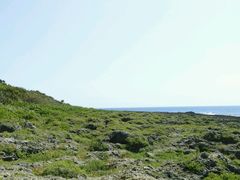 android_upload_pic-鹅銮鼻公园