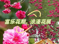 -富乐山