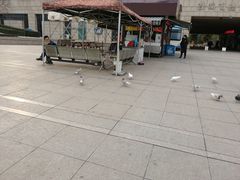 -陕西自然博物馆