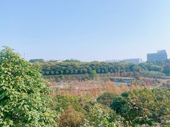 -东莞植物园