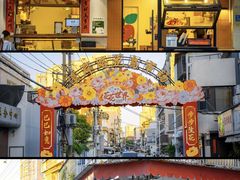 -溪岸路花鸟市场