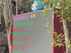 -汤旺河林海奇石景区