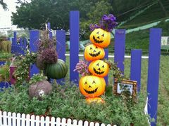 -龙环葡韵住宅式博物馆