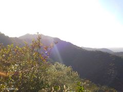 -九曜山