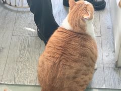 -小时光咖啡馆(北锣鼓巷店)