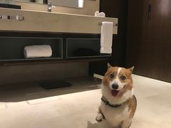 -成都安仁福朋喜来登酒店