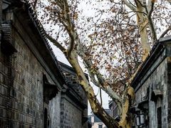 -老门东历史文化街区