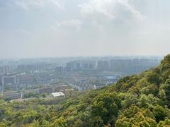 -杭州半山国家森林公园