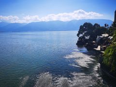 -阿鹏故事云南野生菌火锅(人民路店)