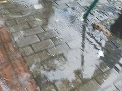-晓马鸭店(新芜路店)