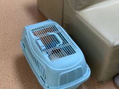 -宠颐生中康贝怡动物医院