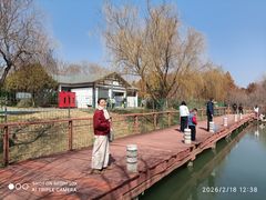 -贡湖湾湿地公园