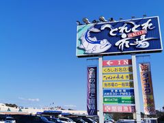-海鮮寿司とれとれ市場