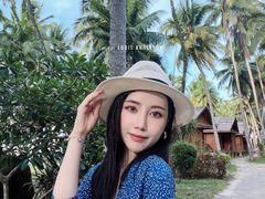 -东郊椰林