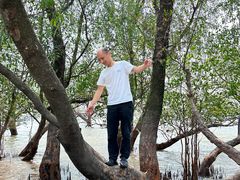 -宝安西湾红树林湿地公园