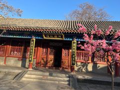 -荣国府