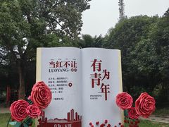 -西苑公园