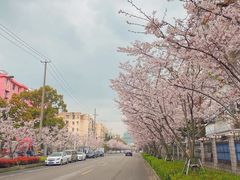 -永乐路-路侧停车场