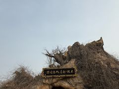 -大槐树寻根祭祖园