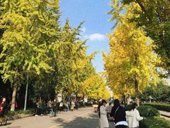 -四川大学(望江校区)
