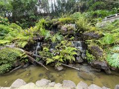 -深圳仙湖植物园