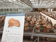 -长春农业博览园