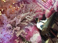 -杭州西湖星空魔幻城(星空艺术馆品牌旗舰店)