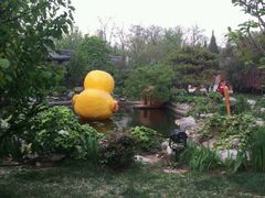 android_upload_pic-上海佘山国家森林公园西佘山园