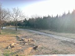 -上海野生动物园