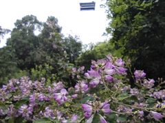 -香山公园