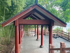 -大渡口区义渡公园