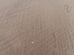 -南澳海滩
