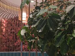 -小桃红·东北菜·春饼烤鸭(南阳湖街店)