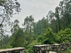 -火炉山森林公园