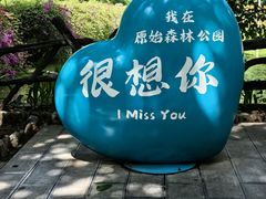 -西双版纳原始森林公园