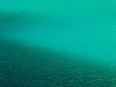 -叠溪松坪沟景区