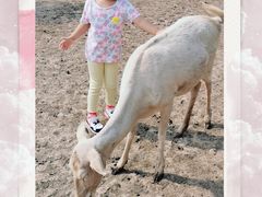 -北京麋鹿生态实验中心