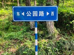 -南京老山国家森林公园
