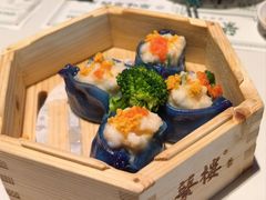 -蘩楼(南山南油店)