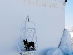 -Blue Concept Cafe&Farm·關於藍
