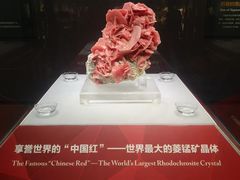 -湖南省地质博物馆