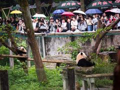 -重庆动物园·东二门售票处