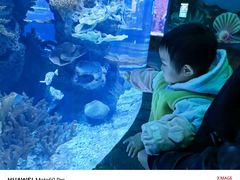 -多彩贵州城极地海洋世界