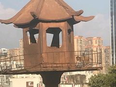 -昆明动物园