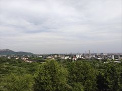 -白水寺森林公园