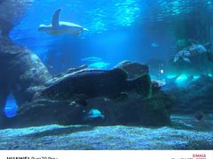 -太平洋海底世界