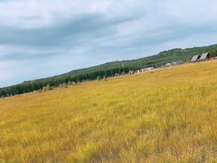 -塞罕坝国家级自然保护区