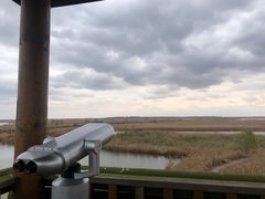 -盐城丹顶鹤湿地生态旅游区