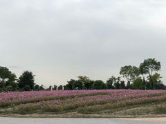 -歌斐颂巧克力小镇